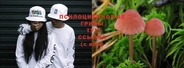 хмурый Алексеевка